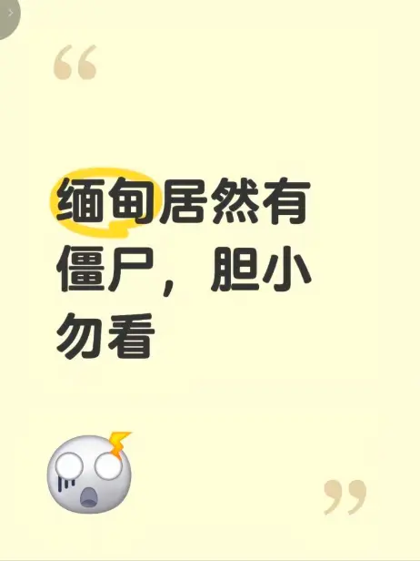 《缅甸僵尸出土事件》高清无删减完整版在线免费播放 - 揭秘缅北僵尸出土事件现场真相