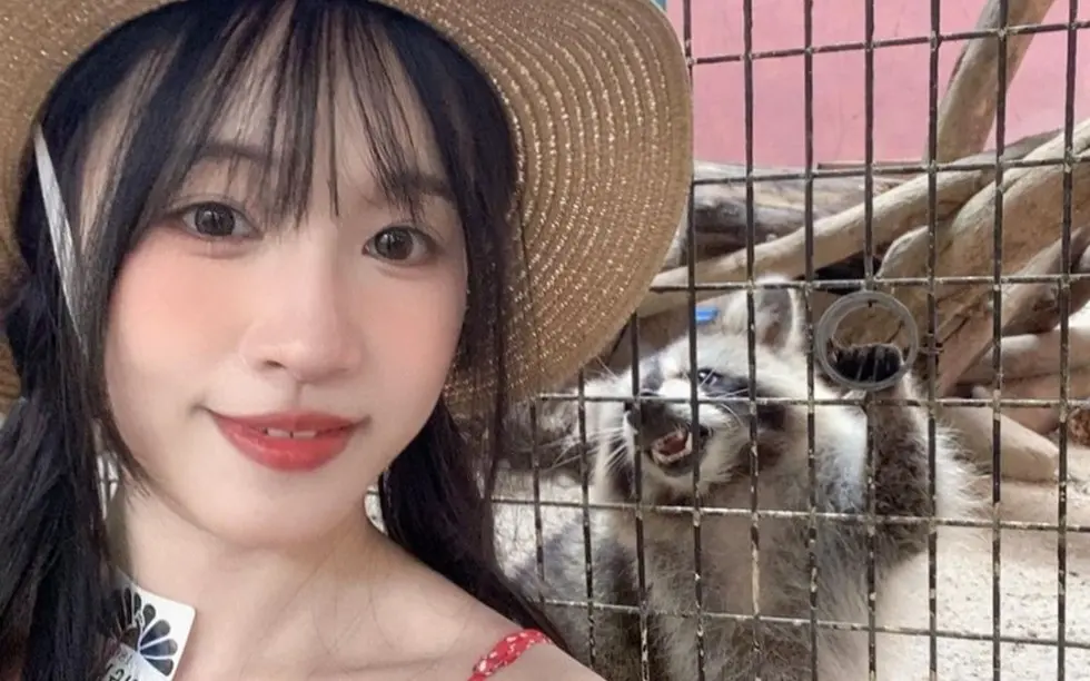 国产女神《苏畅》vlog视频大全-1080p高清版在线观看全集免费观看-最新无删减版