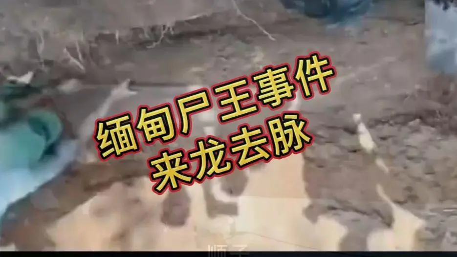 《缅甸僵尸出土事件视频》完整版资源下载-高清在线观看免费播放缅北僵尸出土事件始末全程录像